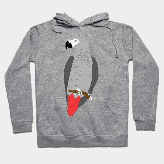 African Grey Parrot on Perch Hoodie by Einstein Parrot